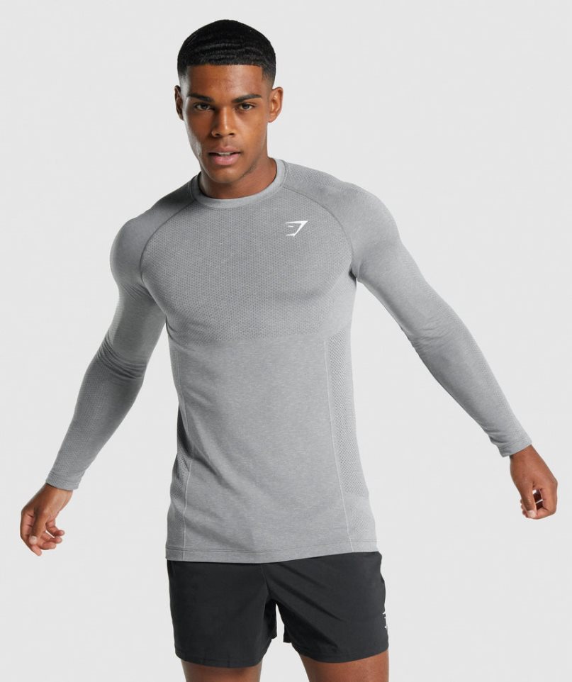 Men\'s Gymshark Vital Light Seamless Long Sleeve T-Shirts Grey | CA 7N65D3